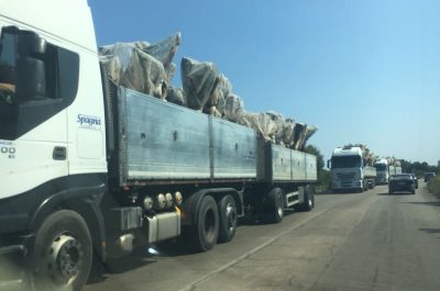 Tap, trasferiti 450 ulivi in un vivaio leccese: la Procura ha dato il via libera - Corriere Salentino