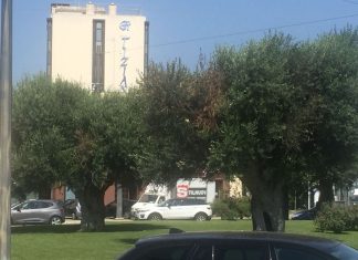 La xylella attacca il verde pubblico di Lecce
