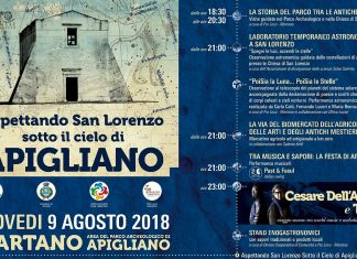 Aspettando San Lorenzo sotto il cielo di Apigliano