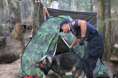 Arresti e sequestri di droga, continuano i controlli dei carabinieri: arresti e denunce - Corriere Salentino