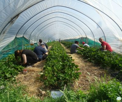 Il sistema del cibo come infrastruttura per il Salento - Corriere Salentino