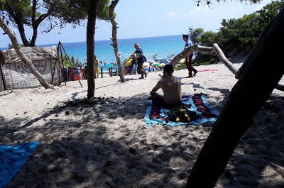 Minore violentata in pineta? Per ora ancora nessun riscontro, denunciato un 22enne accusato dalla ragazzina - Corriere Salentino