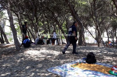 Minore violentata in pineta? Per ora ancora nessun riscontro, denunciato un 22enne accusato dalla ragazzina - Corriere Salentino