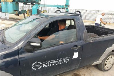 Tartaruga Caretta salvata da pescatore - Corriere Salentino