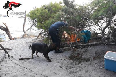 Blitz congiunto nella pineta di Torre dell'Orso, sgombrata l'area: verifiche su una decina di stranieri - Corriere Salentino