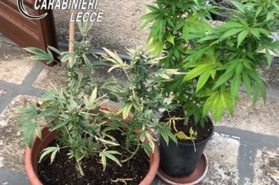 A spasso con la droga, manette ad un 24enne - Corriere Salentino