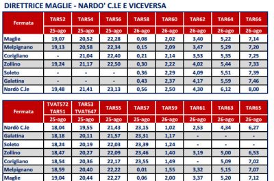 Al concertone della Notte della Taranta in treno e bus - Corriere Salentino