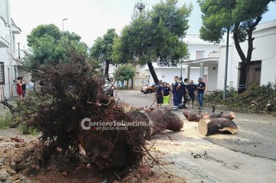 Maltempo: sei persone tratte in salvo dalla Guardia Costiera e danni nei comuni della provincia - Corriere Salentino