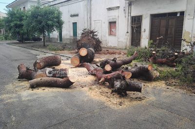 Maltempo: sei persone tratte in salvo dalla Guardia Costiera e danni nei comuni della provincia - Corriere Salentino