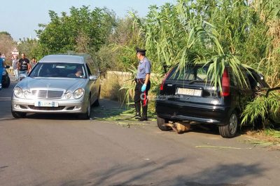 Auto contro muro: muore una 27enne. Conducente positivo ad alcol e cocaina: arrestato - Corriere Salentino