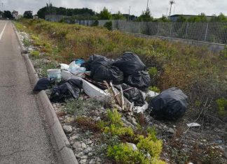 Rapporto ecomafie 2019, Puglia al terzo posto. Stea: “Risultati eccellenti grazie alla collaborazione con le forze dell’ordine”