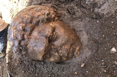 Archeologi Unisalento portano alla luce tre teste di marmo di età romana - Corriere Salentino
