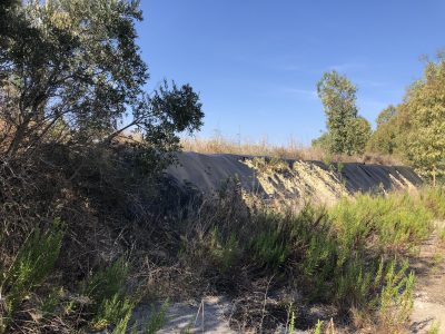 Discarica D’Aurio, dopo la nostra inchiesta interviene Michele Giordano: “Le autorità verifichino: la situazione è di totale degrado” - Corriere Salentino