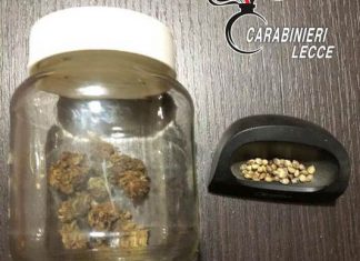 In casa quattro etti di marijuana e 45 semi di canapa indiana: 48enne ai domiciliari