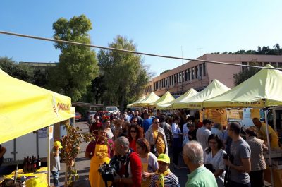 Vendemmia, esperienza pigiatura per baby vignaioli - Corriere Salentino