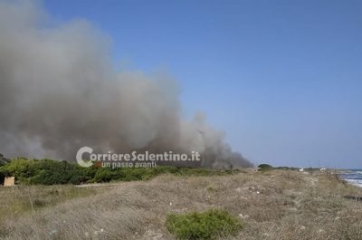 Incendio alle Cesine, in fiamme ettari di macchia mediterranea - Corriere Salentino