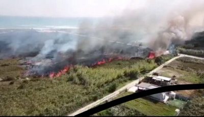 Incendio alle Cesine, in fiamme ettari di macchia mediterranea - Corriere Salentino