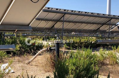 Reportage nella discarica dimenticata su cui domina il fotovoltaico finanziato con fondi europei e abbandonato: una ferita al paesaggio - Corriere Salentino