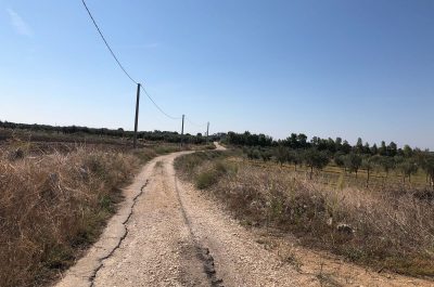 Reportage nella discarica dimenticata su cui domina il fotovoltaico finanziato con fondi europei e abbandonato: una ferita al paesaggio - Corriere Salentino