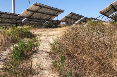 Reportage nella discarica dimenticata su cui domina il fotovoltaico finanziato con fondi europei e abbandonato: una ferita al paesaggio - Corriere Salentino