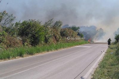Incendio alle Cesine, in fiamme ettari di macchia mediterranea - Corriere Salentino