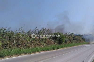 Incendio alle Cesine, in fiamme ettari di macchia mediterranea - Corriere Salentino