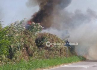 Incendio alle Cesine, in fiamme ettari di macchia mediterranea