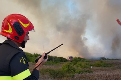 Incendio alle Cesine, in fiamme ettari di macchia mediterranea - Corriere Salentino