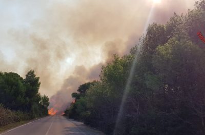 Incendio alle Cesine, in fiamme ettari di macchia mediterranea - Corriere Salentino