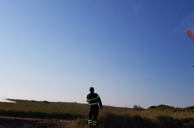 Incendio alle Cesine, in fiamme ettari di macchia mediterranea - Corriere Salentino