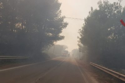 Incendio alle Cesine, in fiamme ettari di macchia mediterranea - Corriere Salentino