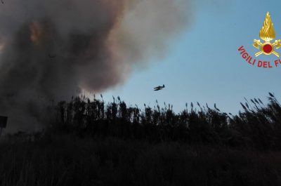 Incendio alle Cesine, in fiamme ettari di macchia mediterranea - Corriere Salentino