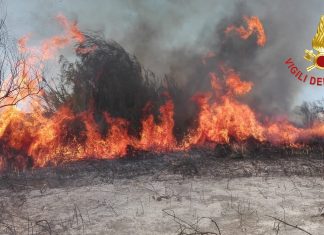 Maxi rogo nei pressi delle Cesine, il fuoco ha distrutto circa 50 ettari di macchia mediterranea