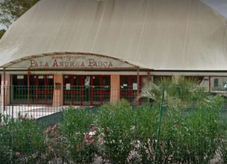 Sputi e minacce agli arbitri, Daspo di due anni per un dirigente del basket Nardò
