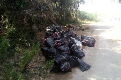 Pineta di San Cataldo ripulita dai volontari. Lo "Sportello dei Diritti": "Non si sprechi il lavoro degli ambientalisti" - Corriere Salentino