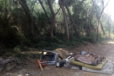 Pineta di San Cataldo ripulita dai volontari. Lo "Sportello dei Diritti": "Non si sprechi il lavoro degli ambientalisti" - Corriere Salentino