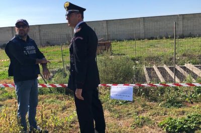 Rifiuti speciali nell'azienda vitivinicola, scatta il sequestro - Corriere Salentino