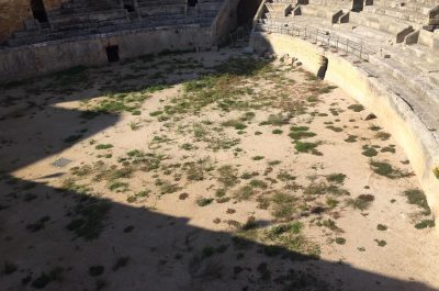 Incuria e vegetazione infestante nell’Anfiteatro: le proteste che chiamano in causa polo museale e Comune - Corriere Salentino