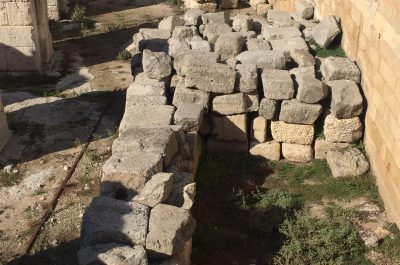 Incuria e vegetazione infestante nell’Anfiteatro: le proteste che chiamano in causa polo museale e Comune - Corriere Salentino