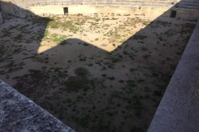 Incuria e vegetazione infestante nell’Anfiteatro: le proteste che chiamano in causa polo museale e Comune - Corriere Salentino