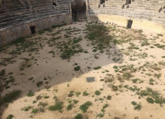 Incuria e vegetazione infestante nell’Anfiteatro: le proteste che chiamano in causa polo museale e Comune