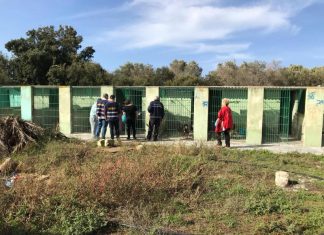 Castrì: cani denutriti e sporchi al canile, il Comune li trasferisce