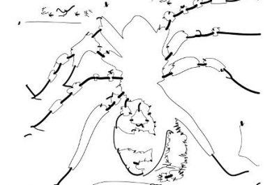 L’eredità scientifica di Ernesto De Martino a 70 anni dalla pubblicazione de “Il mondo magico” - Corriere Salentino