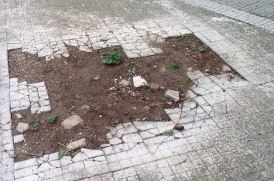 Degrado nei pressi del Tribunale, Sportello dei Diritti: "Cambia l’amministrazione ma la situazione non cambia" - Corriere Salentino