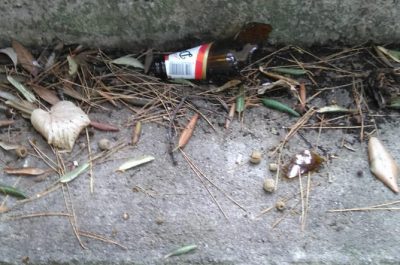 Villa Comunale, Guido: "Alcool, droga e molestatori. Il degrado è servito" - Corriere Salentino