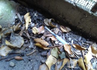 Villa Comunale, Guido: “Alcool, droga e molestatori. Il degrado è servito”