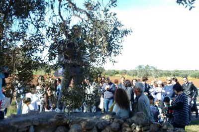 Tutto pronto per la Festa dell’Olio nuovo a Caprarica di Lecce - Corriere Salentino