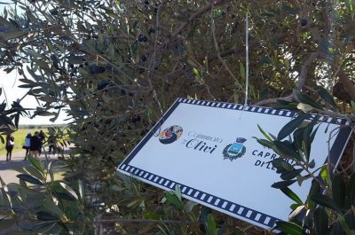 Tutto pronto per la Festa dell’Olio nuovo a Caprarica di Lecce - Corriere Salentino