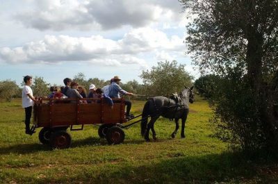 Tutto pronto per la Festa dell’Olio nuovo a Caprarica di Lecce - Corriere Salentino