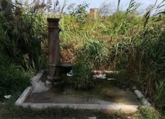 “Valorizza una fontanina”, una giornata ecologica a Torre Chianca